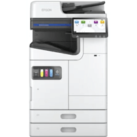 Epson WorkForce Enterprise AM-C4000 דיו למדפסת